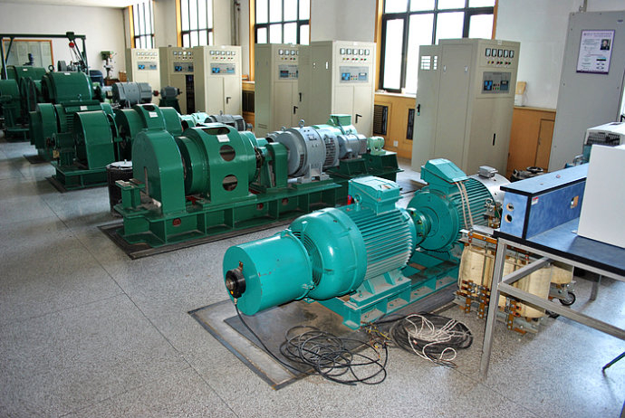 虎门港管委会某热电厂使用我厂的YKK高压电机提供动力